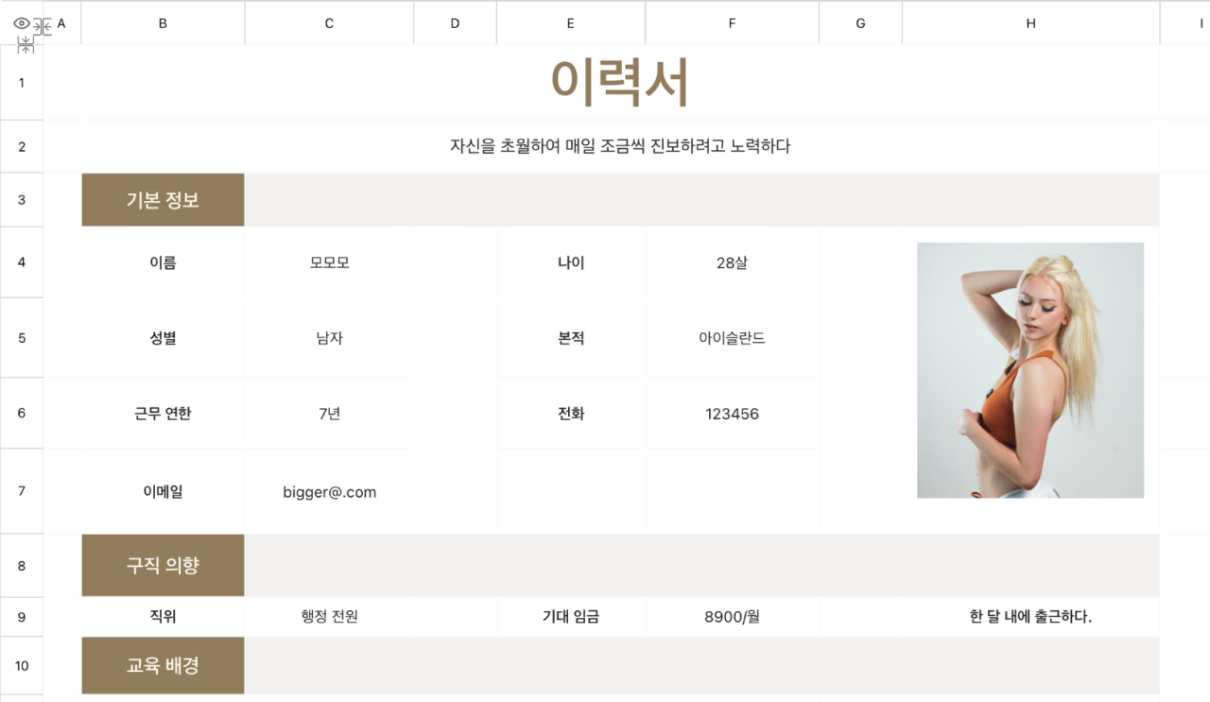 행정 전원 이력서